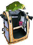 pet pocket backpack bird carrier